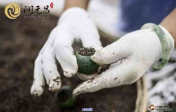 柑普茶 *** 过程详解：步骤繁琐但视频详细呈现