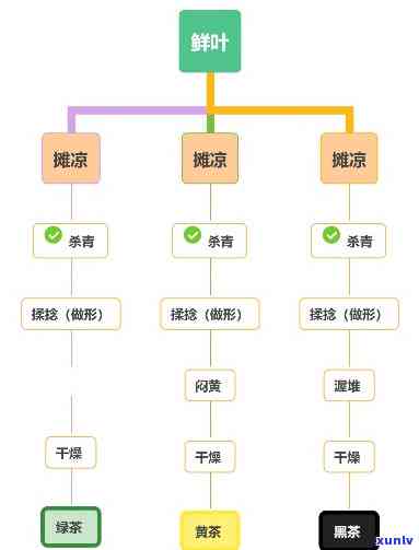 柑普茶的 *** 过程：简易思维导图与视频全解析