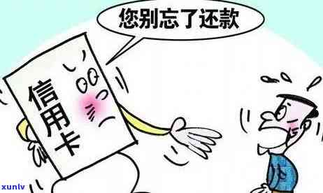 发逾期分期免息是真的吗，揭秘真相：发逾期分期免息是不是可信？