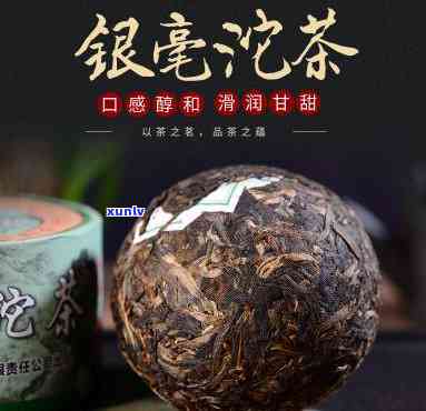 银毫沱茶价格，探究银毫沱茶的价格：从入门到高端的全面解析