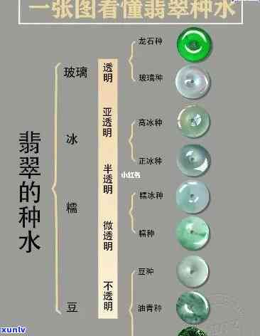 什么是翡翠种水老？从定义、特点到如何判断，一文告诉你