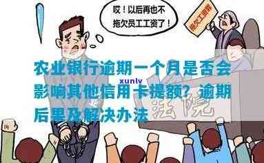 农业银行逾期一次-农业银行逾期一次性还完后续可以退利息吗