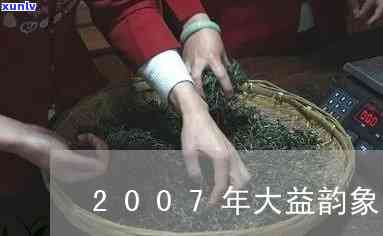 大益韵象2007：价格与品鉴全解析