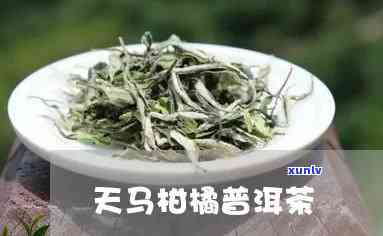 天马柑属于什么茶，探究天马柑的茶类归属：它属于哪种茶？