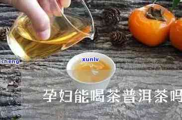 孕妇可以喝柑普茶吗-孕妇可以喝柑普茶吗?