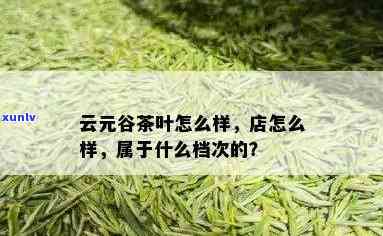 云元谷茶叶怎么样，探究云元谷茶叶的品质与口感，你不能错过的茶饮选择！