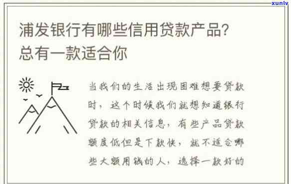 个人浦发银行：循环贷与消费贷授信全解析