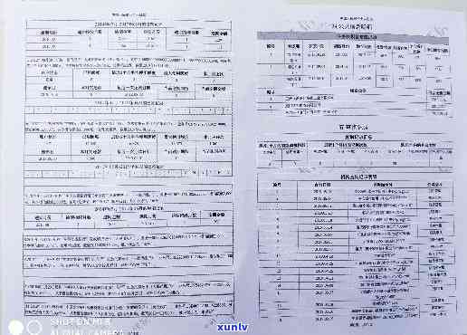 报告浦发银行，查询个人信用记录，熟悉浦发银行报告