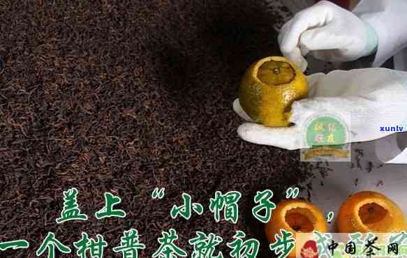 柑普茶 *** 过程视频，揭秘柑普茶的 *** 过程：视频解析全程步骤