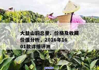 大益山韵总量，大益山韵：探寻茶叶的品质与总量