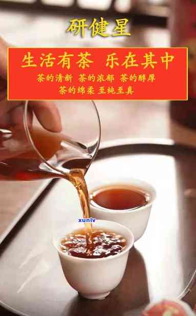 柑柑好柑普茶官网，柑柑好柑普茶官网：品味优质柑普，享受健生活！