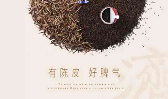 老同志普洱茶哪款好喝？适合什么人群？