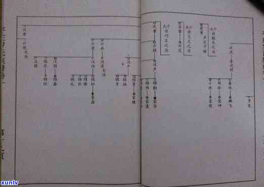 大埔罗氏族谱：字辈查询与家族历梳理