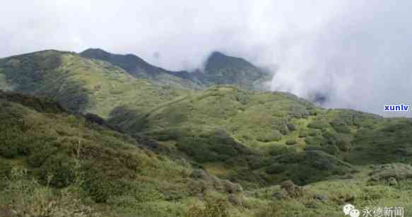 永德大雪山自然保护区，保护生态环境，共建美好家园：探访永德大雪山自然保护区