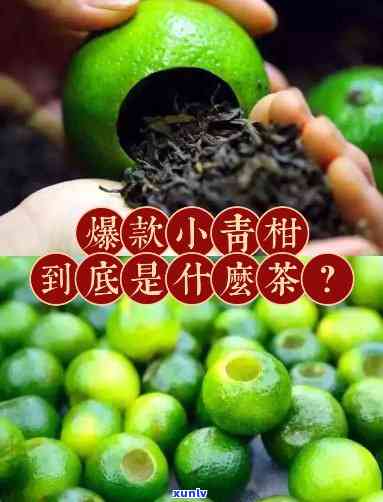 小青柑用的是什么茶叶，探秘小青柑的茶叶原料：你所不知道的秘密