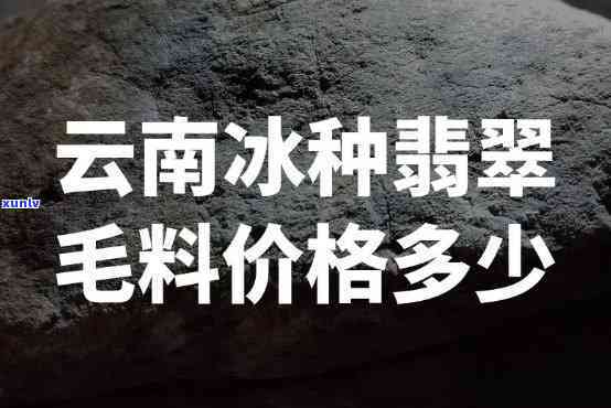 冰种毛料价格走势及翡翠毛料价格分析