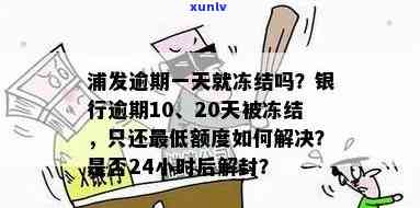 浦发逾期后还更低：24小时后会解封吗？逾期20天只还更低额度该怎么办？