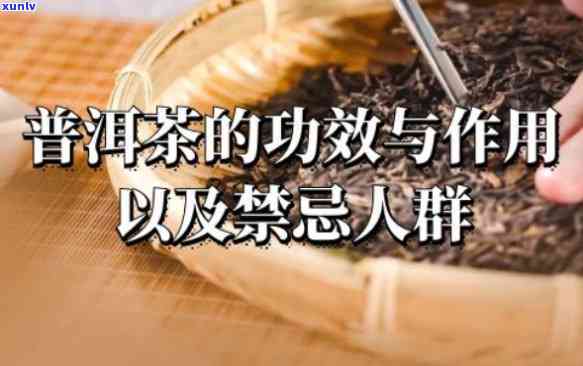 普洱茶：哪些人不能饮用？禁忌人群解析