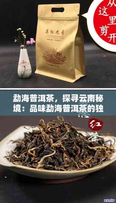 勐海普茶业，探秘云南勐海，品味普茶业的独特魅力