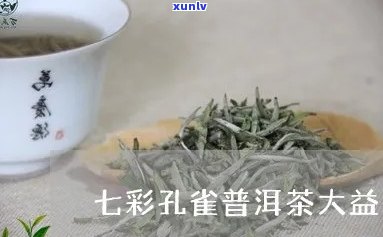 大益茶七彩雀报价-大益茶七彩雀报价表