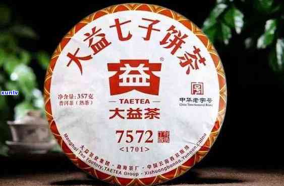 大益茶具备哪些独特的特征，探秘大益茶的独特特征：从口感到品质的全方位解析