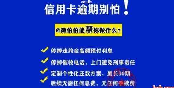 招商信诺借钱逾期怎么办，招商信诺借款逾期解决攻略