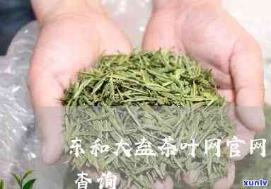 东和茶叶大益茶报价行情千羽雀，最新报价！千羽雀，东和茶叶大益茶行情速览