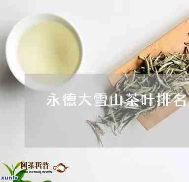 东和网大益茶市场行情：大雪山与得福的最新动态