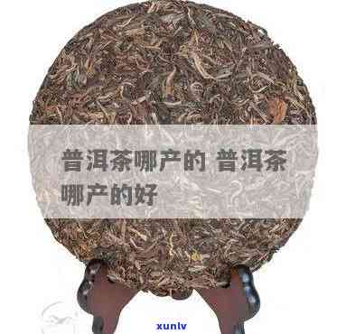 普耳茶哪里产的好?-普耳茶哪里产的好喝