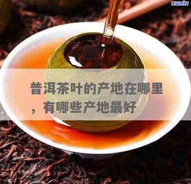 普耳茶哪里的品质好，寻味普洱：揭秘优质普洱茶产地与