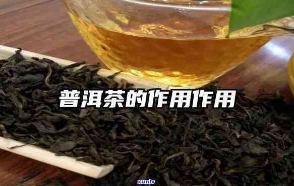 普耳茶作用与功效，深入了解普洱茶：作用与功效解析