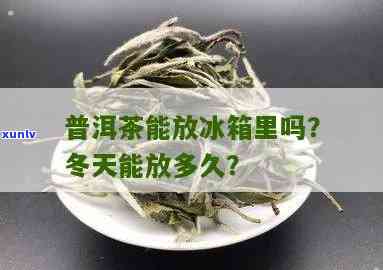 普洱茶放冰箱好吗？能存放多久？是否还能饮用？