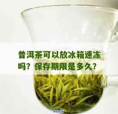 普洱茶放冰箱好吗？能存放多久？是否还能饮用？