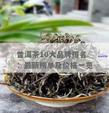 普耳茶十大高端排名，揭秘中国普洱茶市场：十大高端排行榜