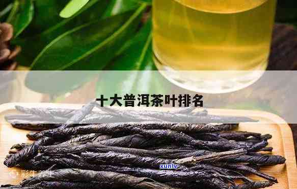 十大普耳茶排行，揭秘茶叶界：十大更受欢迎的普洱茶排行榜