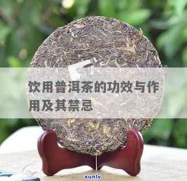 普洱茶的功效与作用禁忌，探秘普洱茶：功效、作用及使用禁忌