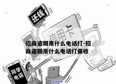 查询招商  号码是多少？