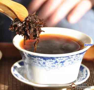 勐海老茶头是什么茶-勐海老茶头是什么茶叶