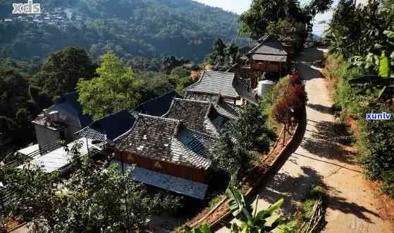 西双版纳勐海南糯山半坡寨古茶厂龙圆号，西双版纳勐海南糯山半坡寨古茶厂的龙圆号，一个值得一品的茶叶