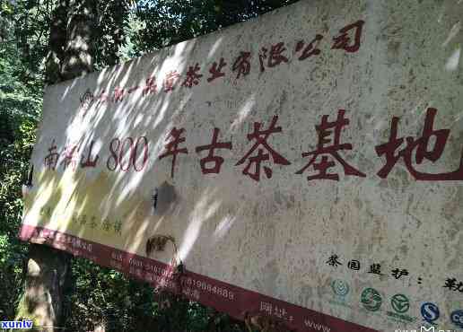 西双版纳勐海南糯山-西双版纳勐海南糯山半坡寨古茶厂