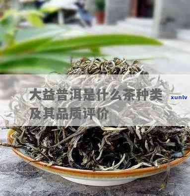 大益茶级别越高越好吗，解析：大益茶的级别是否真的越高质量越好？