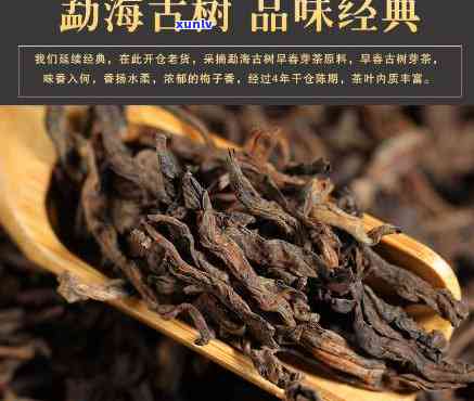 勐海大叶种晒青毛茶普洱茶，探寻云南特色：勐海大叶种晒青毛茶普洱茶的魅力与历