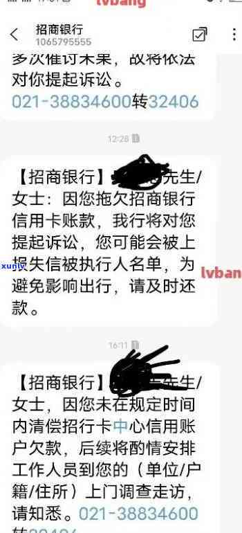 普洱茶壶：品种、名家与 *** 工艺