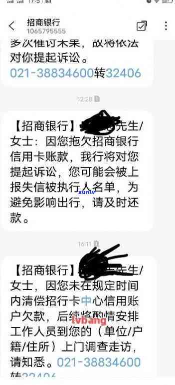 正宗新会柑普茶价格-新会柑普茶价格及图片