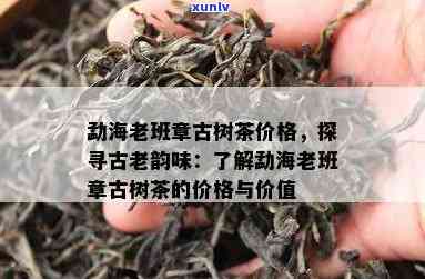 勐海早春老树茶价格为什不一样呢，探究勐海早春老树茶价格差异的原因