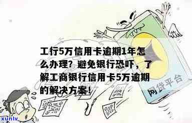 普洱茶速溶与女性减肥：专家问答揭示真相