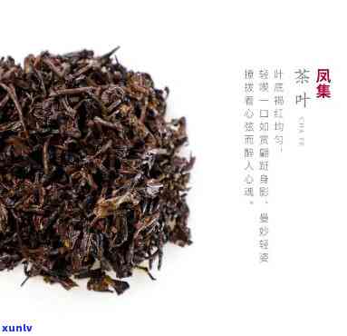 大益茶鸾翔凤集价格-大益茶鸾翔凤集2020