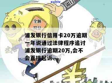 浦发银行信用卡20万逾期一年说通过法律程序追讨，浦发银行采用法律手追讨20万信用卡逾期一年的欠款