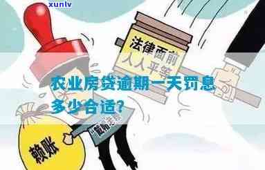 农业还贷逾期一天怎么办？解决方案全解析！