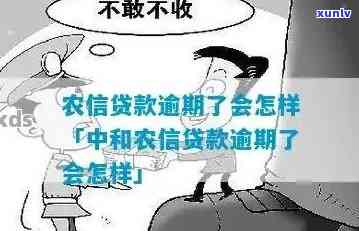 农业还贷逾期一天-农业还贷逾期一天会怎么样